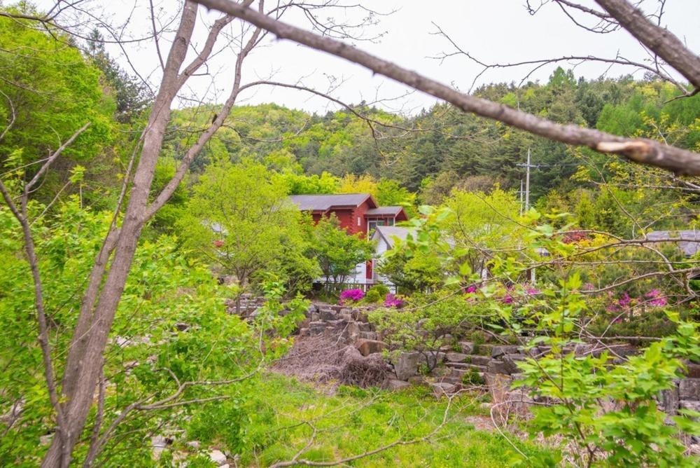 Pyeongchang Zermatt Pension Family, Couple Ngoại thất bức ảnh